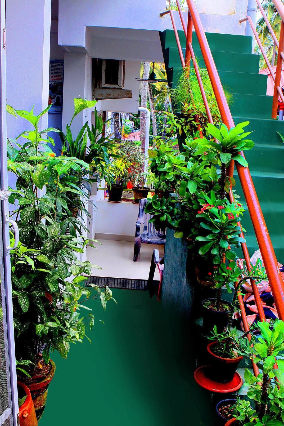 شقة هيفينتلي هومستاي Kochi المظهر الخارجي الصورة